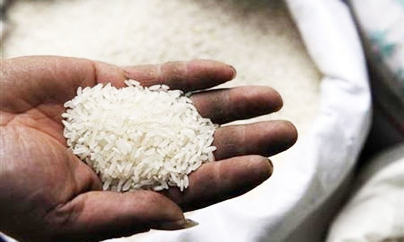 Rice price, domestic politics, and policy response